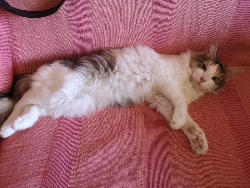 Foto: OK Radio, M.Spirić